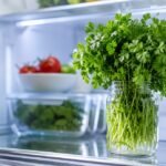 Fresh coriander leaves stored in a glass jar to keep them fresh for up to 3 weeks