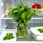 Fresh mint leaves stored in a glass jar to keep them fresh longer